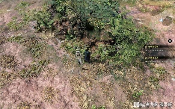 古龙风云录第一章全收集攻略 古龙风云录第一章全收集指南 古龙风云录第一章全收集攻略 古龙风云录第一章全收集指南