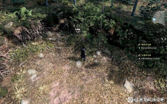 古龙风云录第一章全收集攻略 古龙风云录第一章全收集指南 古龙风云录第一章全收集攻略 古龙风云录第一章全收集指南