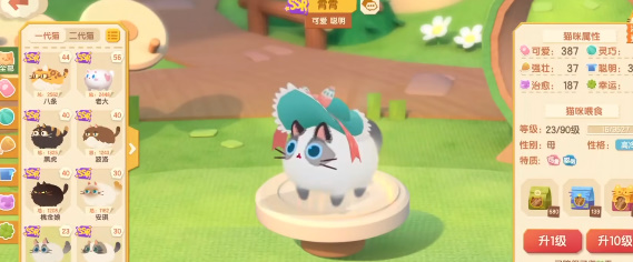 猫咪公寓2天赋撸猫攻略 撸猫提升亲密度方法介绍