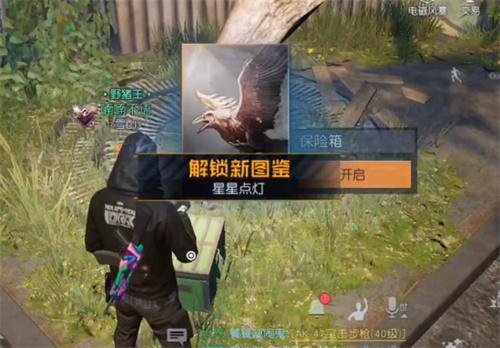黎明觉醒星星点灯藏宝图位置在哪 星星点灯藏宝图位置坐标一览