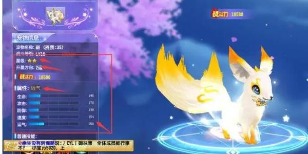QQ飞车手游宠物排行榜2023 最新宠物强度排名一览