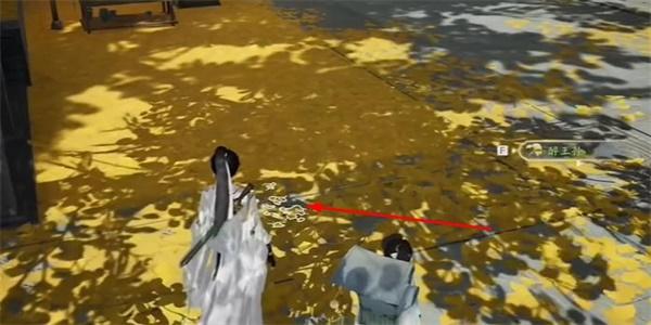 《射雕》醉王孙收集流程一览