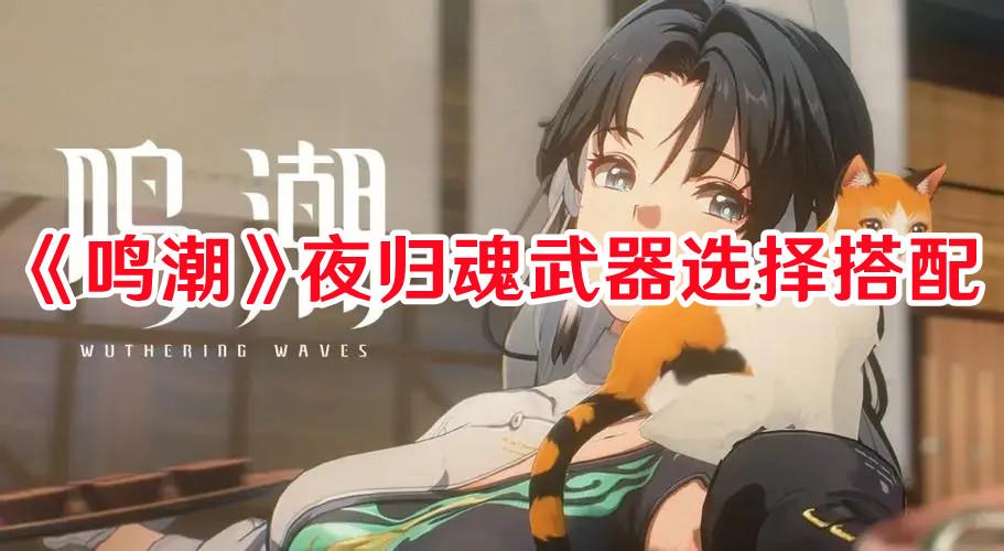 《鸣潮》夜归魂武器选择搭配 《鸣潮》夜归魂武器选择搭配