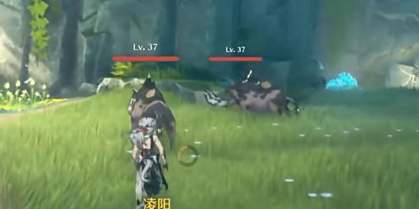 《鸣潮》啸野归城任务流程 《鸣潮》啸野归城任务流程