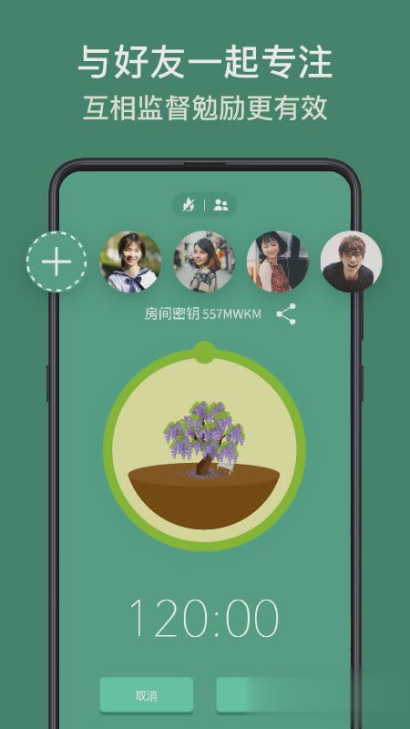 forest2022新版软件截图3