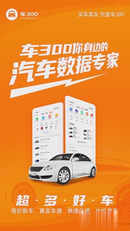 车300估价软件截图2