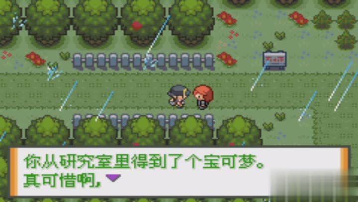 口袋妖怪水晶游戏截图4