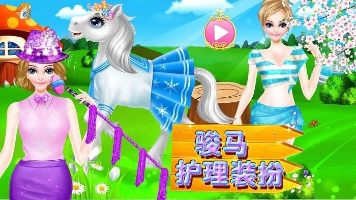 骏马护理装扮游戏游戏截图4