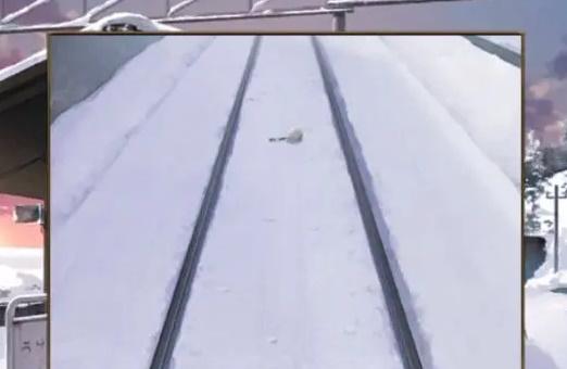 失物终点站2游戏攻略大全 全关卡图文通关流程汇总 失物终点站2游戏攻略大全 全关卡图文通关流程汇总