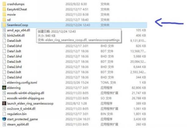 《艾尔登法环》联机mod怎么玩 联机mod详细教程与注意事项