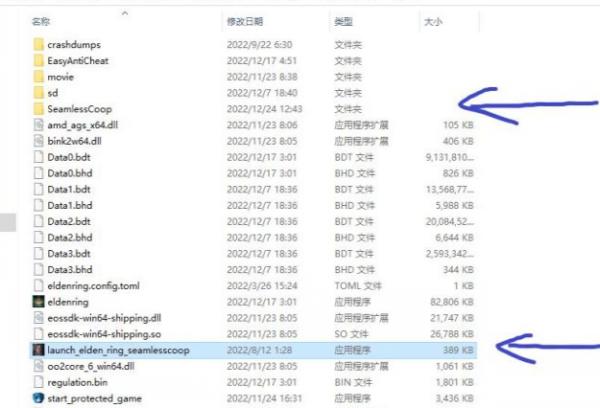《艾尔登法环》联机mod怎么玩 联机mod详细教程与注意事项