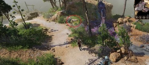 《博德之门3》主线笼中的莱埃泽尔怎么过 主线任务笼中的莱埃泽尔攻略 《博德之门3》主线笼中的莱埃泽尔怎么过 主线任务笼中的莱埃泽尔攻略