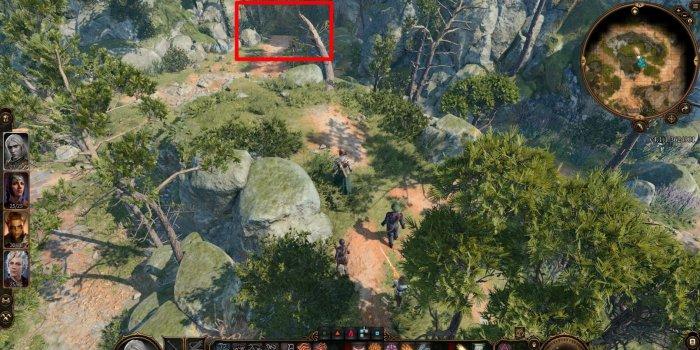 《博德之门3》翠绿林地周边流程攻略 地图翠绿林地周边探索流程攻略 《博德之门3》翠绿林地周边流程攻略 地图翠绿林地周边探索流程攻略