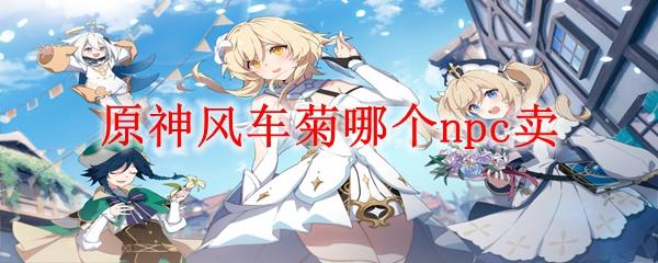 原神风车菊哪个npc卖 原神风车菊哪个npc卖