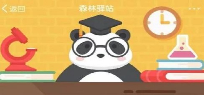 以下哪种虎群已经灭绝？