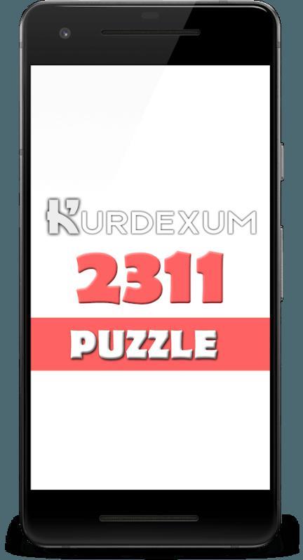 2311 Puzzle截图2