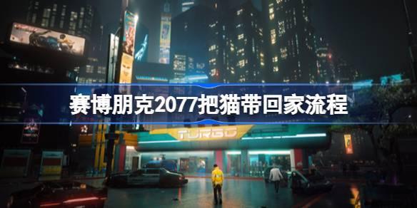 赛博朋克2077猫粮在哪-赛博朋克2077把猫带回家流程