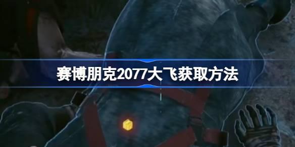赛博朋克2077大飞获得方法-赛博朋克2077大飞如何获取