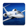Aerofly FS 2025最新版